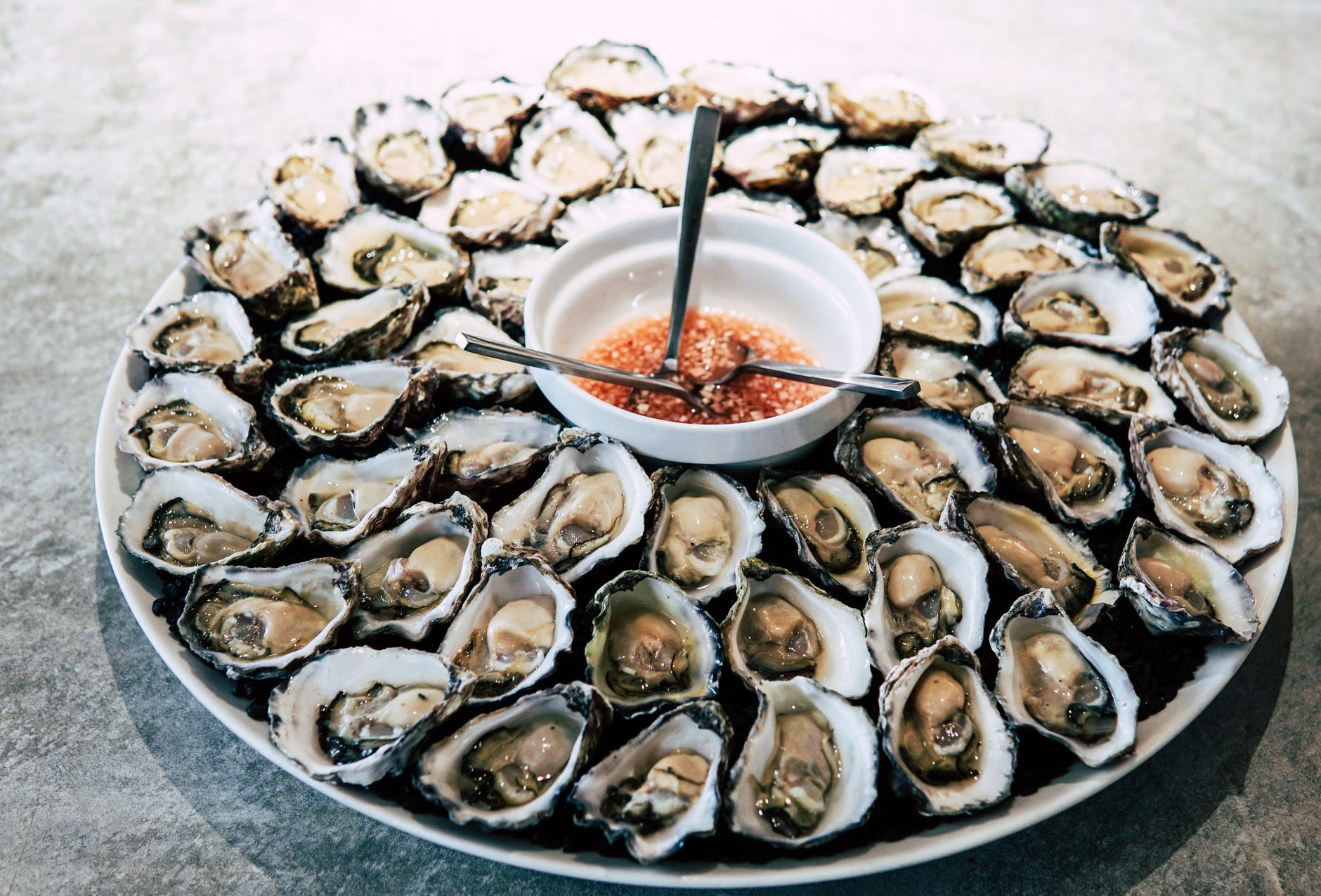 Let’s Dive Into Carolina Oysters
