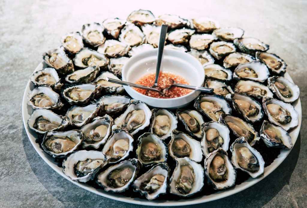 Let’s Dive Into Carolina&nbsp;Oysters