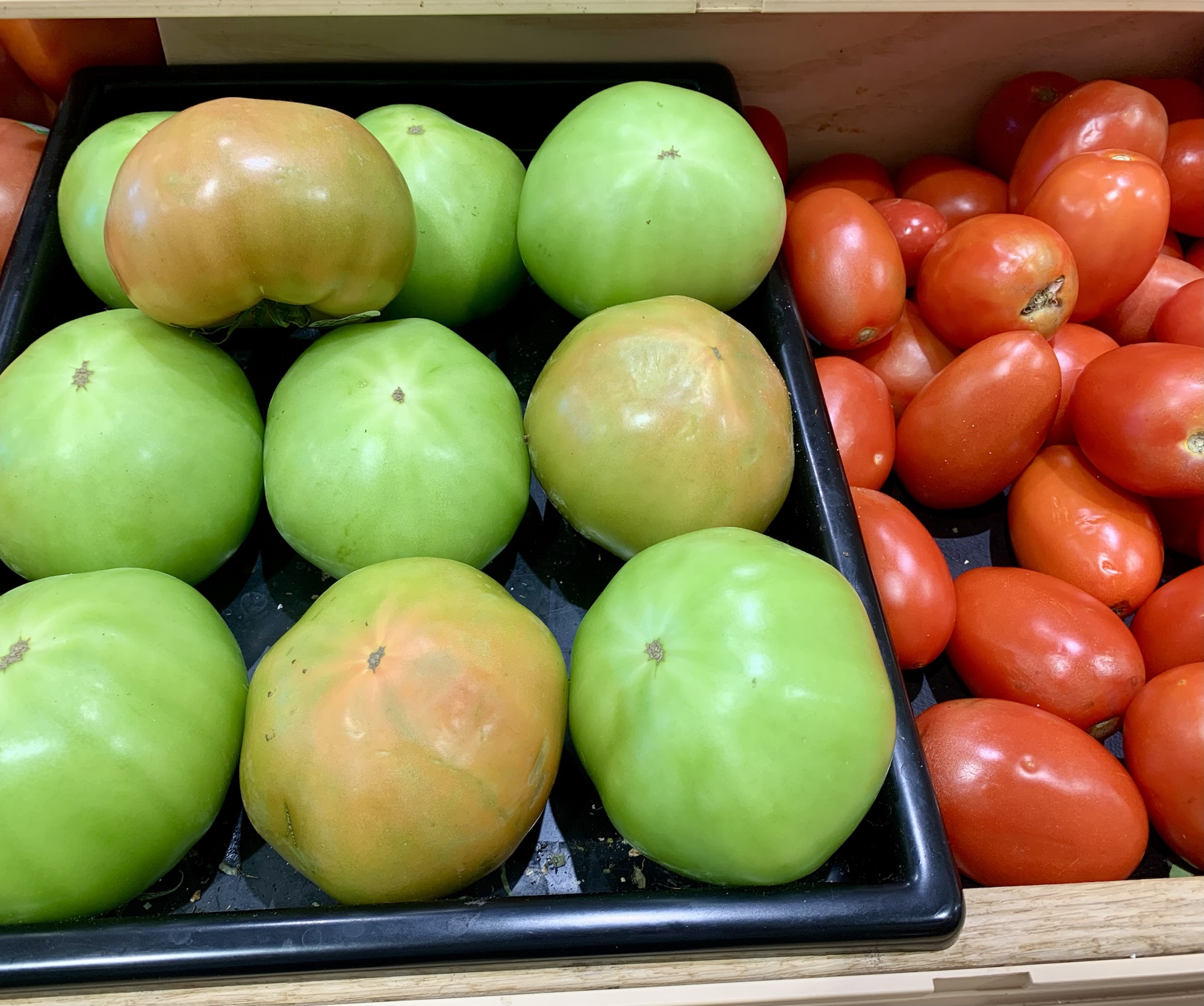 Dorchester Farmers Market