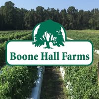 Boone Hall Farmer’s Market
